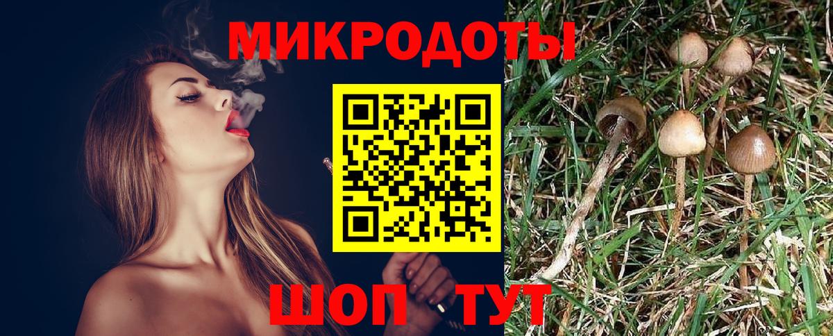 Галлюциногенные грибы мицелий Королёв
