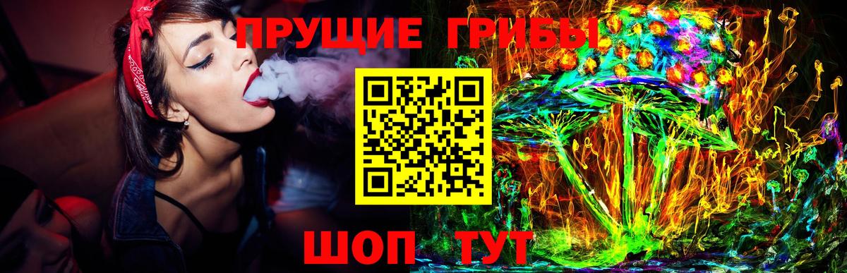 Королёв  Галлюциногенные грибы MAGIC MUSHROOMS  Галлюциногенные грибы Psilocybe  закладка  Вход с VPN 